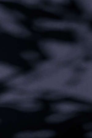 Brand design, textured effect and artistic backdrop concept - Abstract art, botanical shadows...