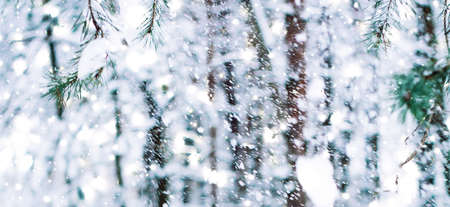 Snowing landscape, greeting card design and New Years Eve travel concept - Winter holiday background, nature scenery with shiny snow and cold weather in forest at Christmas timeの写真素材