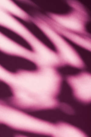 Brand design, textured effect and artistic backdrop concept - Abstract art, botanical shadows...