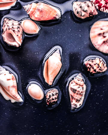 Ocean, nature texture and coastal vacation concept - Sea shell background, summertime destination and beach holiday travel cardの写真素材