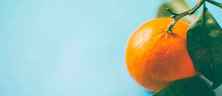 Citrus, raw and vegan concept - Fresh natural juicy tangerines, clementine fruit dessert for healthy...