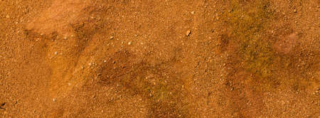 Sand on the beach in summer, texture close-up as background