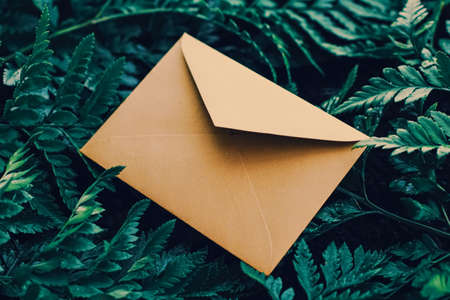 Blank envelope and green leaves in nature, paper card as background, correspondence and newsletter conceptの写真素材
