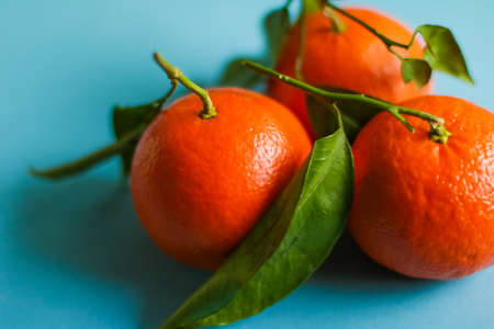 Fresh tangerines, organic citrus fruits and natural food conceptの写真素材