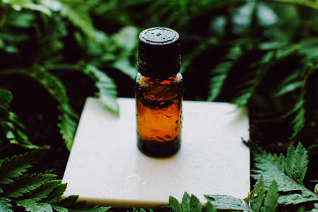 Bottle of herbal essential oil in a green tropical garden, natural scent and organic cosmetics conceptの写真素材