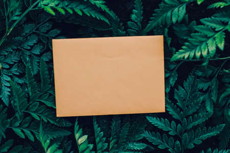 Blank envelope and green leaves in nature, paper card as background, correspondence and newsletter conceptの写真素材