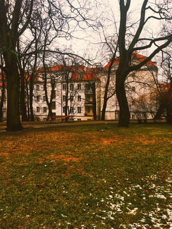 Autumn nature in park, fall leaves and trees outdoors, beautiful season