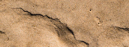 Sand on the beach in summer, texture close-up as backgroundの写真素材