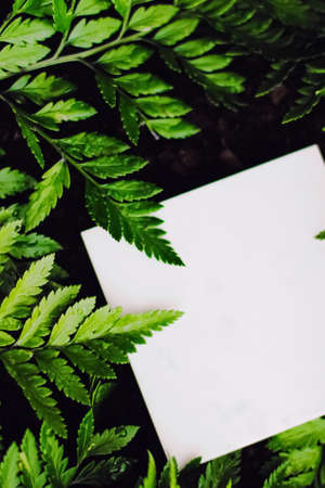 Blank card on green grass background, branding designの写真素材
