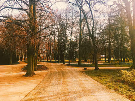 Autumn nature in park, fall leaves and trees outdoors, beautiful seasonの写真素材