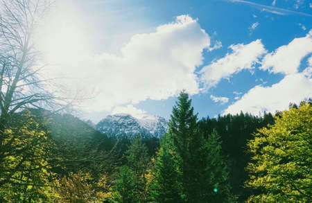 Beautiful nature of European Alps, landscape view of alpine mountains, lake and village in spring...