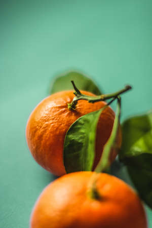 Fresh tangerines, organic citrus fruits and natural food conceptの写真素材