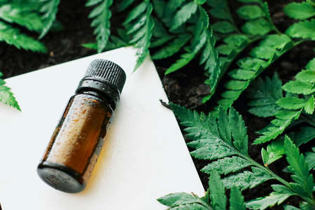 Bottle of herbal essential oil in a green tropical garden, natural scent and organic cosmetics conceptの写真素材