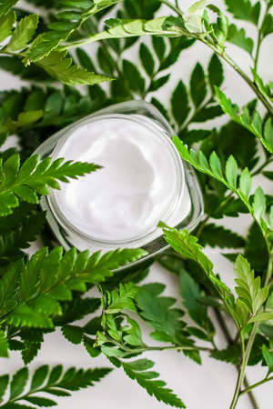 Face cream moisturizer jar in green garden, natural herbal skincare cosmetics and organic anti-aging...