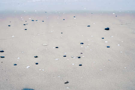 Beautiful sea or ocean horizon, coast view from tropical sand beach, summer vacation travel and holiday destination sceneの写真素材