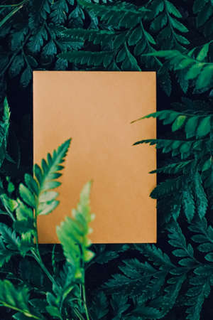 Blank envelope and green leaves in nature, paper card as background, correspondence and newsletter...