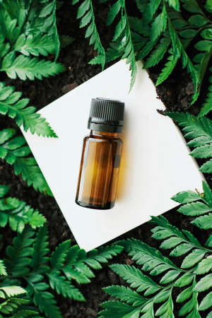 Bottle of herbal essential oil in a green tropical garden, natural scent and organic cosmetics...