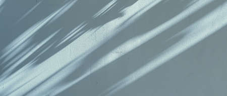 Shadows on the wall, sunshine and sun rays on summer day at sunset, nature and abstract concept