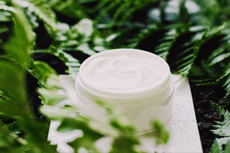 Face cream moisturizer jar in green garden, natural herbal skincare cosmetics and organic anti-aging product for health and beauty brandの写真素材