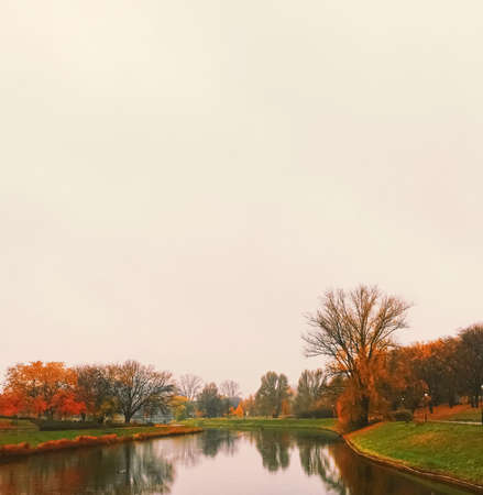 Autumn nature in park, fall leaves and trees outdoors, beautiful seasonの写真素材