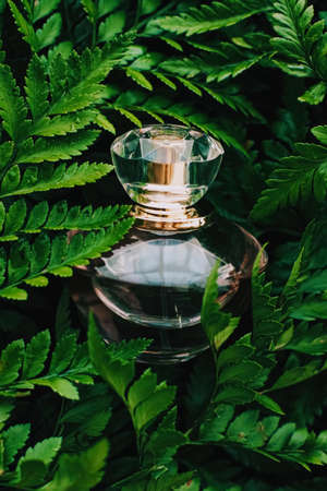 Perfume bottle with aromatic tropical scent in nature, luxury summer fragranceの写真素材
