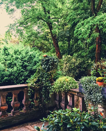 Beautiful green garden with flowers on luxury backyard, nature and landscape designの写真素材