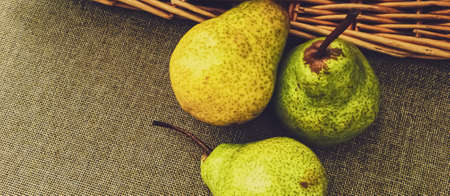 Organic pears on rustic linen background, fruits farming and agricultureの写真素材