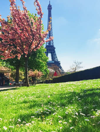 Eiffel Tower and blue sky, famous landmark in Paris, France in springの写真素材