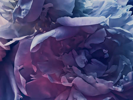 Purple peony flower as abstract floral background for holiday branding designの写真素材