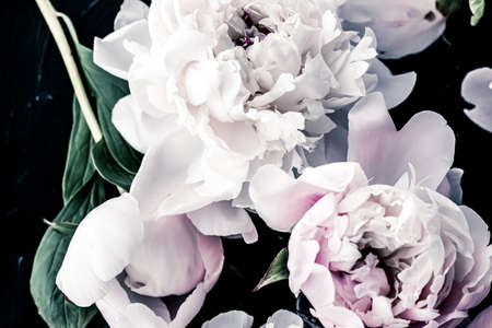 Pastel peony flowers as floral art background, botanical flatlay and luxury branding designの写真素材