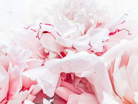 Bouquet of peony flowers on luxury marble background, wedding flatlay and event branding designの写真素材