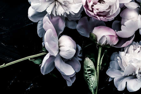 Pastel peony flowers as floral art background, botanical flatlay and luxury branding designの写真素材