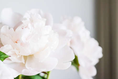 Chic bouquet of peony flowers in vase as home decor idea, luxury interior design and decoration conceptの写真素材