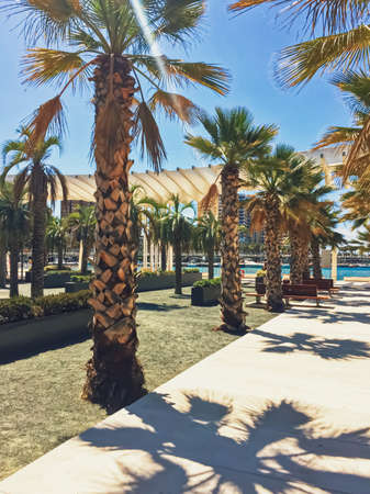 Malaga, Spain circa June, 2019: Public parks and streets of Malaga, the capital city of Andalucia...