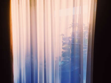 Curtains on window at sunset, furniture and designの写真素材