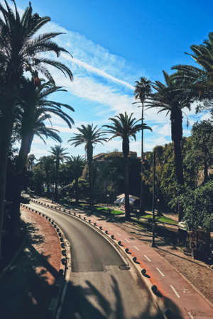 Kos Island, Greece circa May 2020: Empty road and palm trees in townのeditorial素材