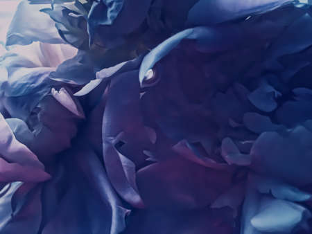 Purple peony flower as abstract floral background for holiday branding design