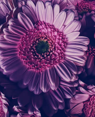 Abstract floral background, bouquet of flowers for holiday branding designの写真素材