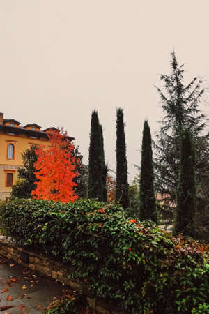 Milan, Italy circa January, 2020: Residential buildings and gardens on the streets of Milan in Northern Italy, classic and historical European architecture in Lombardy regionのeditorial素材