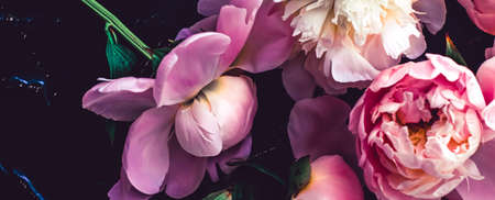 Pink peony flowers as floral art background, botanical flatlay and luxury branding designの写真素材