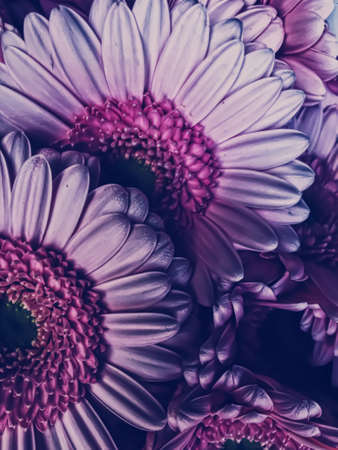 Abstract floral background, bouquet of flowers for holiday branding designの写真素材