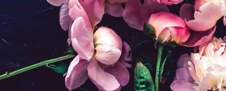 Pink peony flowers as floral art background, botanical flatlay and luxury branding designの写真素材