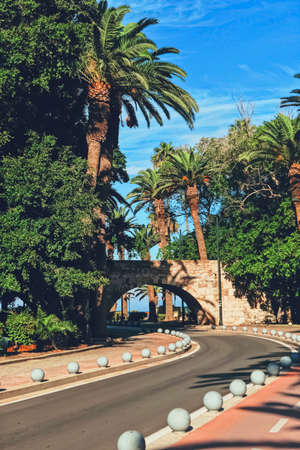 Empty road and palm trees in southern town, travel and nature sceneの写真素材