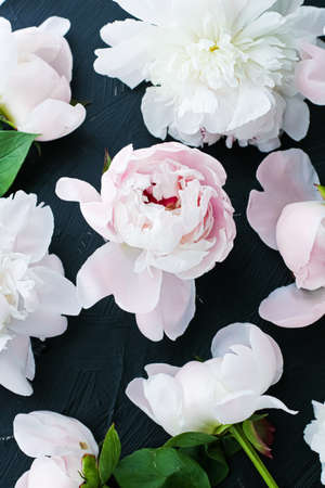 Blooming peony flowers as floral art background, botanical flatlay and luxury branding designの写真素材