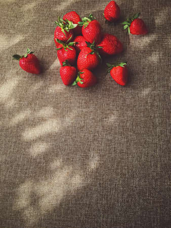 Organic strawberries on rustic linen background, fruit farming and agricultureの写真素材
