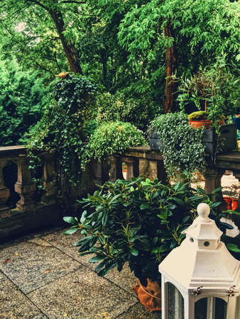 Beautiful green garden with flowers on luxury backyard, nature and landscape designの写真素材