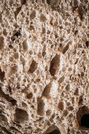 Fresh whole grain seeded bread, organic wheat flour, closeup slice texture as background for food...