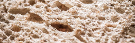Fresh whole grain seeded bread, organic wheat flour, closeup slice texture as background for food blog or cook book recipesの写真素材
