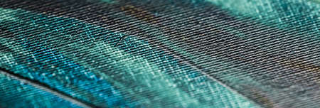 Turquoise abstract background, painting and arts