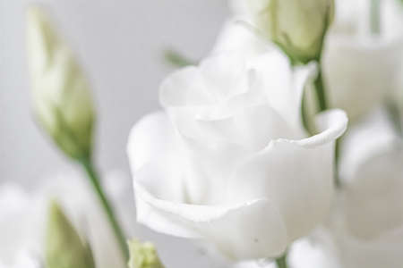 Floral bouquet as gift, rose flowers arrangement at flower shop or online delivery, romantic present and luxury home decorationの写真素材